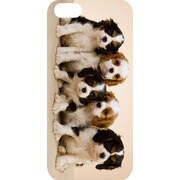 J-04548-14 [iPhone5用 プラハードケース ドッグ&キャッツ メニーパピー]