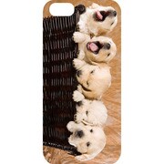 J-04548-15 [iPhone5用 プラハードケース ドッグ&キャッツ パピーボックス]