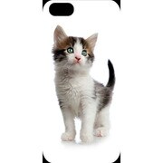 J-04548-16 [iPhone5用 プラハードケース ドッグ&キャッツ キャットWH]