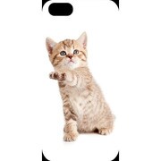 J-04548-17 [iPhone5用 プラハードケース ドッグ&キャッツ キャットBR]