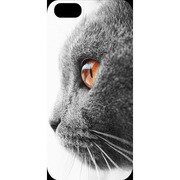 J-04548-19 [iPhone5用 プラハードケース ドッグ&キャッツ キャットフェイス]