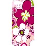 J-04552-10 [iPhone5用 プラハードケース フラワーアソート デイジー]