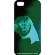 SM004CA01-SR02 [iPhone 5用 ストーンローゼズ2]