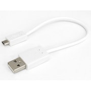 ホワイト QX-041WH 2A出力USBケーブル20cm WH
