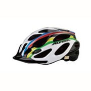 DH004 ヘルメット TEAM ALPINA Champion