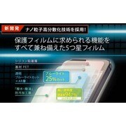 KTDF-BF-IP5 [液晶保護BLCフィルム iPhone5用]