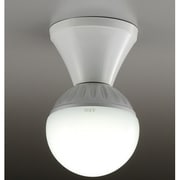 LED電球小型シーリング AC790SN