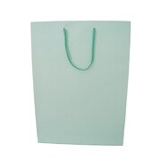 ペーパーバッグL グリーン 102010200