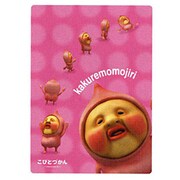 こびとづかん 下敷き [カクレモモジリ]