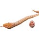 オモシロラジコン Rattle Snake BR