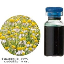 カモマイル・ジャーマン – プラナロム エッセンシャルオイル