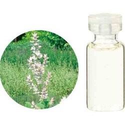 ヨドバシ.com - 生活の木 08-440-3100 [クラリセージ精油 10mL] 通販