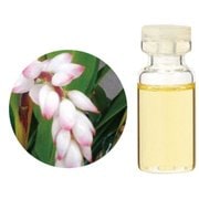 和精油月桃 50mL 08-434-2460