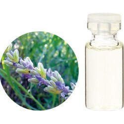 ヨドバシ Com 生活の木 08 440 3350 スパイクラベンダー精油 10ml 通販 全品無料配達 ヨドバシ Com 生活の木 08 440 3350 スパイクラベンダー精油 10ml 通販 全品無料配達