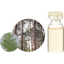 ヨドバシ.com - 生活の木 08-455-2380 [和精油ヒノキ 3mL] 通販【全品