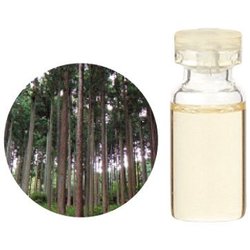 ヨドバシ.com - 生活の木 08-434-2380 [和精油ヒノキ 50mL] 通販【全品