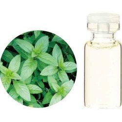 ヨドバシ Com 生活の木 08 449 37 ペパーミント精油 3ml 通販 全品無料配達