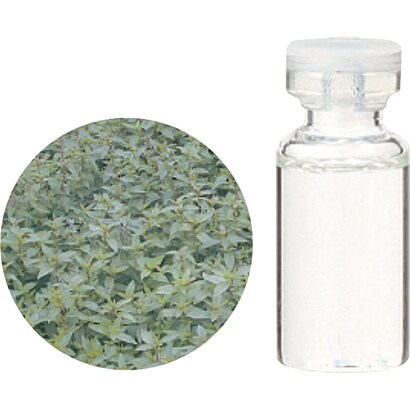 08 460 50 オーガニックペパーミント精油 10ml Personalacimadamedia Com