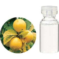 ヨドバシ Com 生活の木 08 460 54 オーガニックベルガモット ベルガプテンフリー 精油 10ml 通販 全品無料配達 ヨドバシ Com 生活の木 08 460 54 オーガニックベルガモット ベルガプテンフリー 精油 10ml 通販 全品無料配達