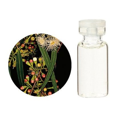 08 435 3950 ユーカリ シトリオドラ レモンユーカリ 精油 100ml 08 435 3950 ユーカリ シトリオドラ レモンユーカリ 精油 100ml