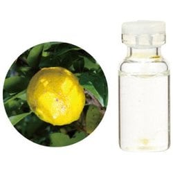 ヨドバシ Com 生活の木 08 456 24 和精油柚子 水蒸気蒸留法 10ml 通販 全品無料配達 ヨドバシ Com 生活の木 08 456 24 和精油柚子 水蒸気蒸留法 10ml 通販 全品無料配達
