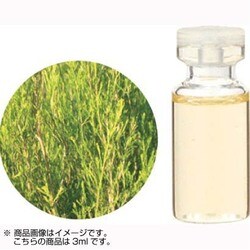 ヨドバシ Com 生活の木 08 449 3460 ラベンダーティートゥリー精油 3ml 通販 全品無料配達 ヨドバシ Com 生活の木 08 449 3460 ラベンダーティートゥリー精油 3ml 通販 全品無料配達
