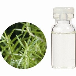 ヨドバシ Com 生活の木 08 459 5050 オーガニックローズマリーシネオール精油 3ml 通販 全品無料配達 ヨドバシ Com 生活の木 08 459 5050 オーガニックローズマリーシネオール精油 3ml 通販 全品無料配達
