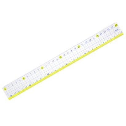 楽しく学習 直線定規 30cm SN-848