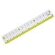 楽しく学習 直線定規 15cm SN-797