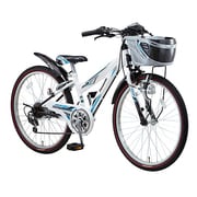自転車 ザイオン B-ZB46AF