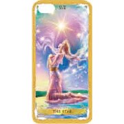 SM003CA01-17 [iPhone5用ケース TAKAKI design タロット 17星]