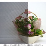 GP-4681 [プライバシー保護 窓貼りシート 幅46×丈90ｃｍ]