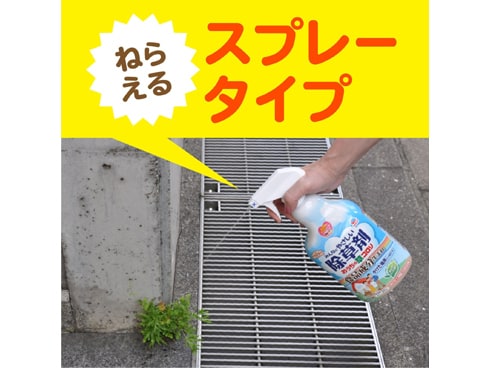 Amazon | アースガーデン 除草剤 おうちの草コロリ [6L