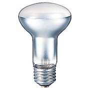 白熱電球 屋内投光用アイランプ E26口金 110V 100W RF110V100WM