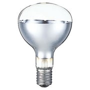 白熱電球 屋外投光用アイランプ E39口金 110V 270W RF110V270WH