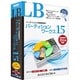 LB パーティションワークス15 [Windows]