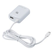 ACカーチャージャー+USB L1 ホワイト AL51