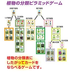 ヨドバシ.com - アーテック Artec 科学シリーズ 植物のなかま