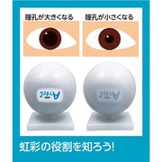 科学シリーズ 水レンズでわかる目のしくみセット
