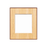 木目色紙額 小 うす茶 ケ643