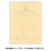 エコパッカー 角形0号 100枚 ホ079