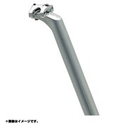 31.6 ソフトSL D11 SPT パッセージシートポスト