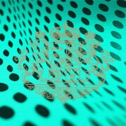 ファッショングラフィックのインテリアパネル edi-0007