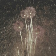 秦義之のファブリックパネル 花火 hat-0010