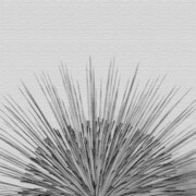 秦義之のファブリックパネル hat-0013