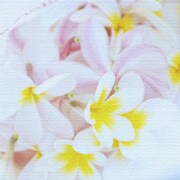 うみカメラマン「むらいさち」のファブリックパネル 花 mur-0001