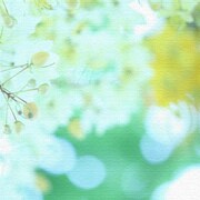 うみカメラマン「むらいさち」のファブリックパネル 花 mur-0005