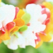 うみカメラマン「むらいさち」のファブリックパネル 花 mur-0006