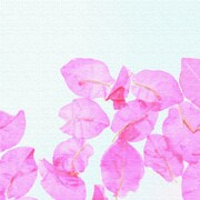 うみカメラマン「むらいさち」のファブリックパネル 花 mur-0008