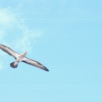 うみカメラマン「むらいさち」のファブリックパネル 青空 mur-0010